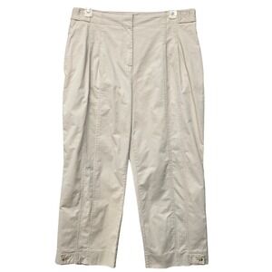 Banana Republic Relaxed Chino Pants Size 16 Petite Twine Ultra High Rise Pleated